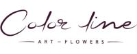 Color Line Art Flowers